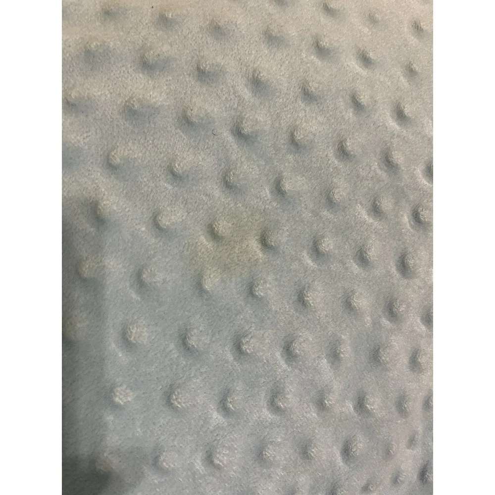 Light Blue Solid Minky Dot Infant Blanket‎ 28